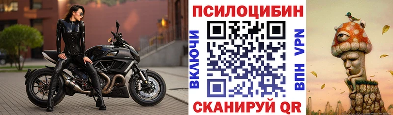 как найти Сельцо Псилоцибиновые грибы мицелий